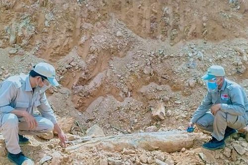 Phát hiện quả bom nặng 227 kg khi thi công đường