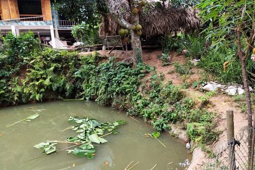 Phát hiện bé gái 3 tuổi đuối nước dưới ao trước cửa nhà