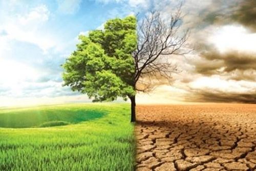 Liên hợp quốc cảnh báo thảm họa môi trường mang tính tàn phá