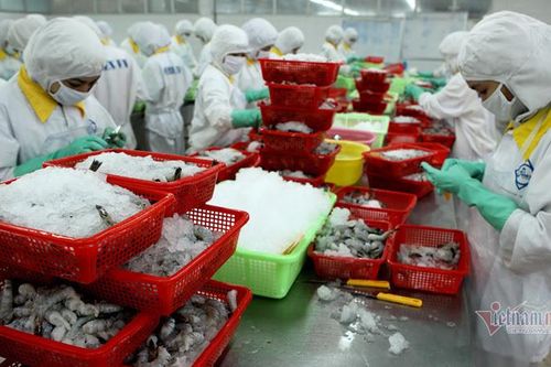 Chính phủ nỗ lực hết sức để tháo gỡ khó khăn, thúc đẩy sản xuất kinh doanh cho doanh nghiệp