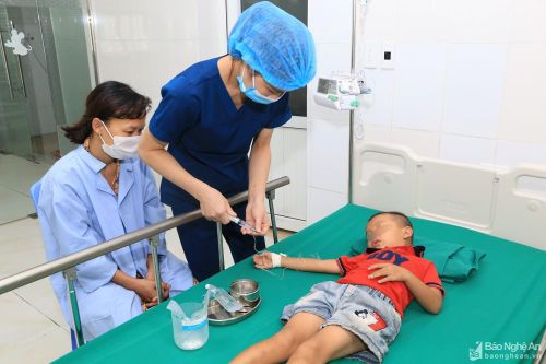 Nghệ An: Nhiều trẻ nhỏ nguy kịch phải cấp cứu do bị ong đốt