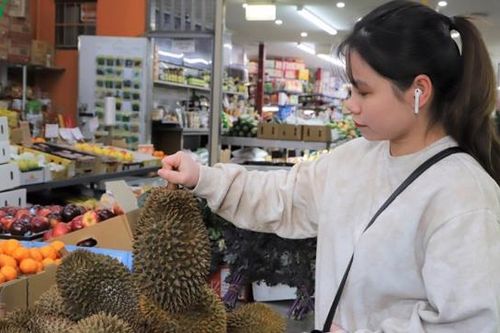 Sầu riêng Ri6 của Việt Nam 'cháy hàng' tại Australia
