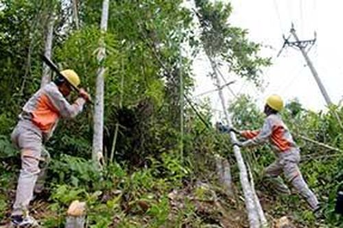 Công ty Điện lực Lạng Sơn: Chủ động đảm bảo an toàn lưới điện cao ápTin khácNỗ lực vì nạn nhân chất độc da camTruyền nhiệt huyết giữ gìn di sản then cho thế hệ trẻ