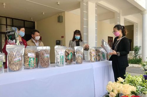 Hỗ trợ tiêu thu nông sản trong tình hình dịch Covid-19