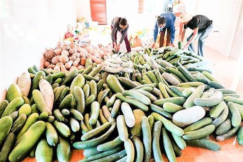Tiếp tục vận động, hỗ trợ người dân Quảng Trị tại miền Nam