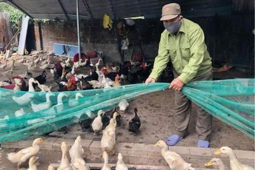 Đời sống Đời sống Vượt lên nỗi đau da cam