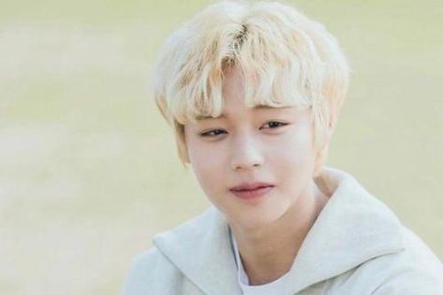 Công ty quản lý quyết làm ra nhẽ vụ 'tiên tử nháy mắt' Park Ji Hoon bị tố ngoại tình
