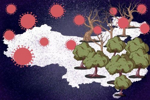 'Vũ Hán mà họ từng sống đã không quay trở lại'