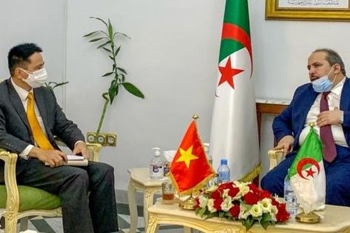 Đại sứ Nguyễn Thành Vinh chào xã giao Tổng Thư ký Đảng Mặt trận Giải phóng Dân tộc Algeria