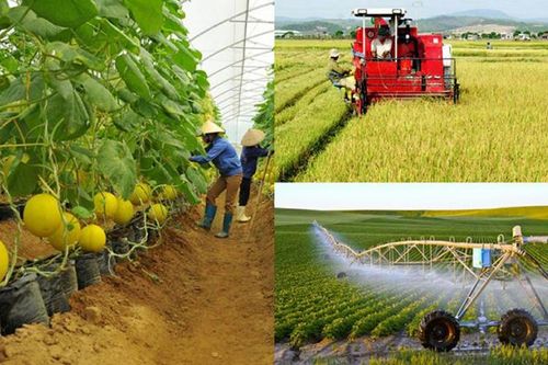 Quy chế hoạt động Ban Chỉ đạo tổng kết 20 năm đổi mới, phát triển và nâng cao hiệu quả kinh tế tập thể