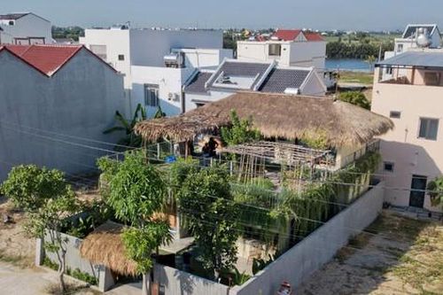 Giữa mùa dịch, gia chủ làm vườn, trồng rau trên mái nhà