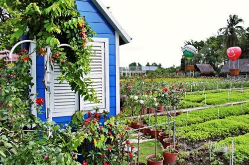 Tiết kiệm 'mùa giãn cách': Xài tiền cũng phải... học