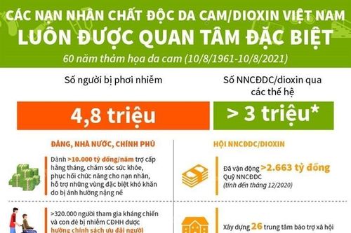Các nạn nhân chất độc da cam/dioxin Việt Nam được quan tâm đặc biệt