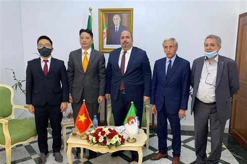 Tăng cường hợp tác giữa Đảng Cộng sản Việt Nam và Đảng FLN Algeria