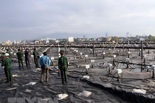 UNDP: Chất độc da cam, hậu quả chiến tranh ảnh hưởng đến nhiều thế hệ