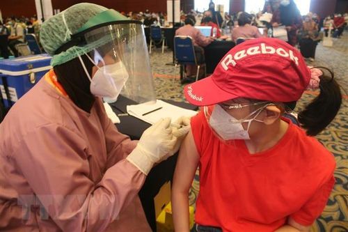 Indonesia chuẩn bị lộ trình sống chung với dịch bệnh trong nhiều năm