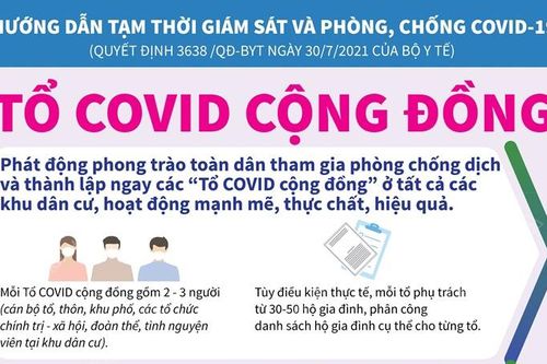 Tổ COVID cộng đồng 'đi từng ngõ, gõ từng nhà, rà từng đối tượng'