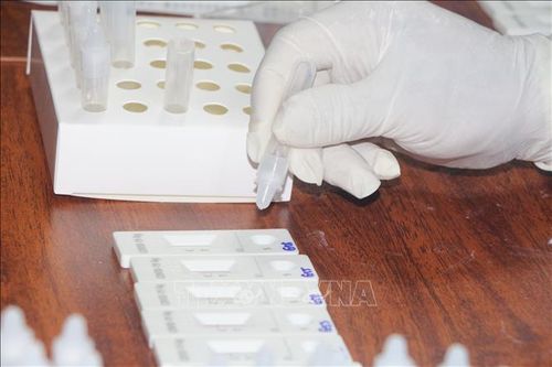 Kết quả test nhanh COVID-19 tại nhà chỉ để người dân tự kiểm tra