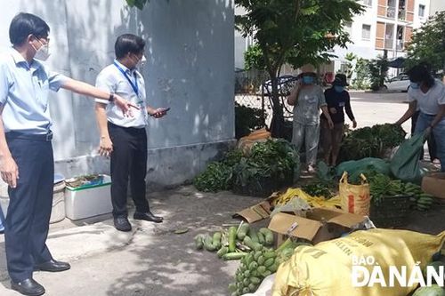 'Không để rau xanh bị héo khi tới tay người dân'