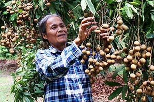 Hữu Lũng: Nhãn được mùa, mất giáTin khácDanh sách cá nhân dự kiến đề nghị xét tặng danh hiệu 'Công dân Lạng Sơn ưu tú' lần thứ nhất, năm 2021Sôi nổi hoạt động hướng đến kỷ niệm 190 năm thành lập tỉnh