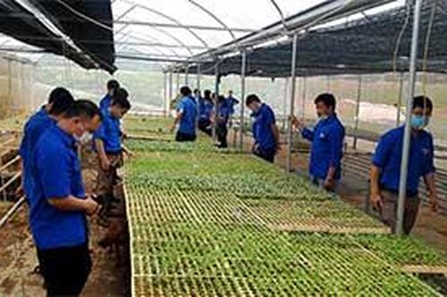 Thanh niên Hữu Lũng: Lan tỏa phong trào khởi nghiệpTin khácDanh sách cá nhân dự kiến đề nghị xét tặng danh hiệu 'Công dân Lạng Sơn ưu tú' lần thứ nhất, năm 2021Sôi nổi hoạt động hướng đến kỷ niệm 190 năm thành lập tỉnh