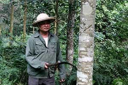 Tân Tri: Vươn lên từ rừngTin khácDanh sách cá nhân dự kiến đề nghị xét tặng danh hiệu 'Công dân Lạng Sơn ưu tú' lần thứ nhất, năm 2021Sôi nổi hoạt động hướng đến kỷ niệm 190 năm thành lập tỉnh