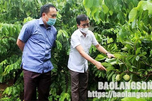 Tạo điều kiện thuận lợi tiêu thụ na cho người dân, gắn với phòng, chống dịch COVID-19Tin khácKết nối các nguồn lực chuẩn bị cơ sở vật chất cho năm học mơíDanh sách cá nhân dự kiến đề nghị xét tặng danh hiệu 'Công dân Lạng Sơn ưu tú' lần thứ nhất, năm 2021