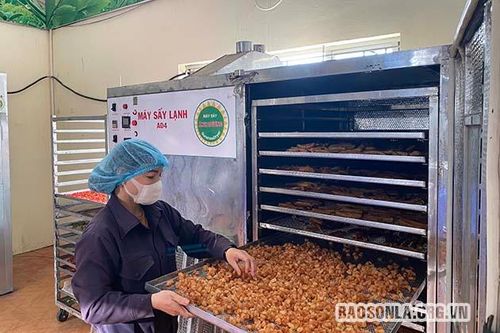 Lợi ích tham gia chương trình bình chọn sản phẩm công nghiệp nông thôn tiêu biểu