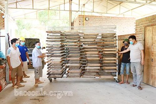 Sơn La hỗ trợ đầu tư chế biến, bảo quản nông sản năm 2021