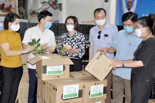 Hội Nông dân tỉnh chung tay hỗ trợ tiêu thụ nông sản