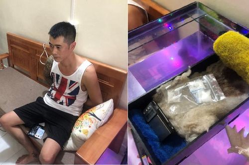 Vội phi tang ma túy vào bể cá khi bị Công an kiểm tra