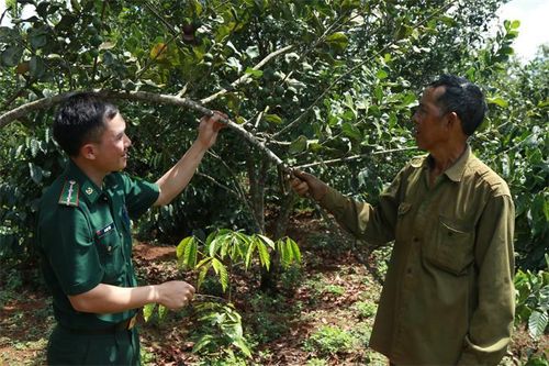 Kiên trì bám trụ làm giàu ở biên giới (bài 3)