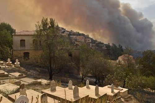 Cháy rừng lan rộng tại Algeria, hơn 40 người thiệt mạng