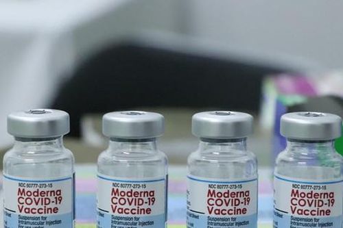 Gấp rút đàm phán mua số lượng cực lớn vắc xin Moderna
