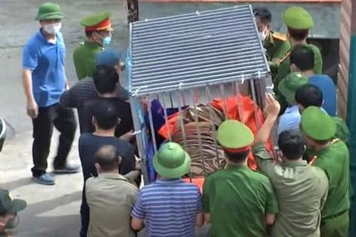 Vụ nuôi nhốt 17 con hổ ở Nghệ An: Khởi tố, bắt tạm một bị can