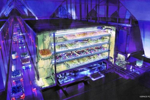 Các nhà khoa học Nhật Bản nghiên cứu sản xuất thực phẩm trên Mặt Trăng