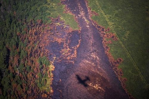 Cháy rừng Siberia lớn hơn nhiều lần các đám cháy rừng toàn cầu cộng lại