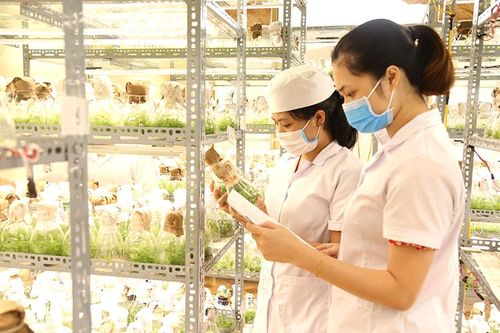 Nghiên cứu mở rộng thêm đối tượng thụ hưởng Nghị quyết 05 của HĐND tỉnh