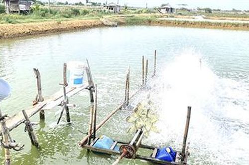 Nghị lực của người lính mang 'nỗi đau da cam'
