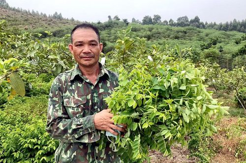 Trồng rau sạch ủng hộ chốt kiểm dịch Covid-19