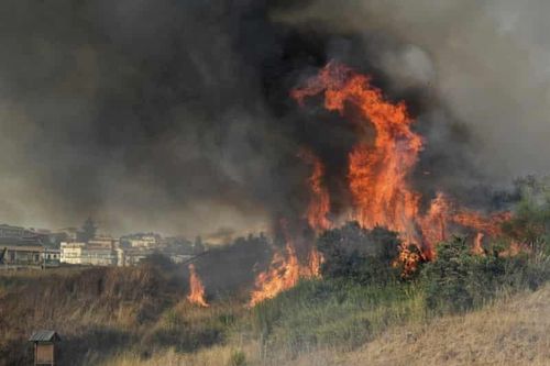 Sicily phá vỡ kỷ lục về nhiệt độ ở châu Âu trong 44 năm
