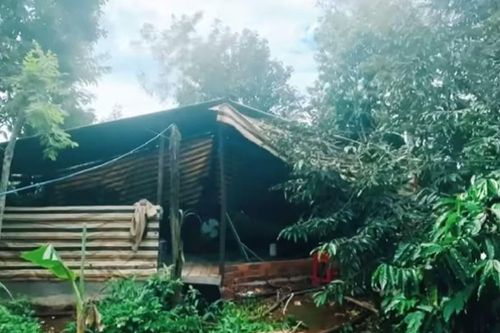 Thanh niên sửa căn chòi trên rẫy để tự cách ly 21 ngày
