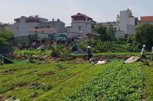 Thủ tướng chỉ thị đẩy mạnh công tác quy hoạch, kế hoạch sử dụng đất các cấp