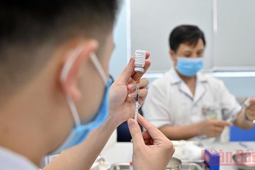 Chiến lược khả thi cho miễn dịch cộng đồng lần đầu tiên