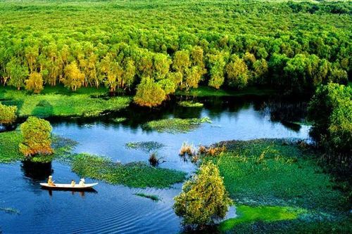 4 vùng đất ngập nước kỳ lạ nhất VN, thế giới ao ước muốn có