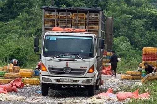 Hòa Bình: Phát hiện đối tượng vứt gần 4 tấn gà chết xuống lề đường