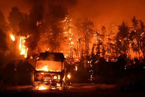 Hàng chục người chết vì cháy rừng ở Algeria, hỏa hoạn bùng phát ở Italia