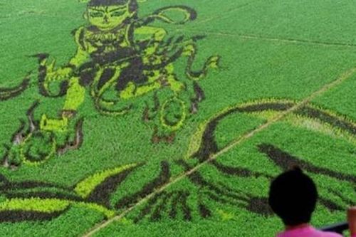 Vẽ trên cánh đồng
