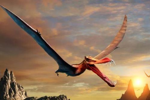 Tìm thấy hóa thạch của 'rồng ngoài đời thực' tại Australia