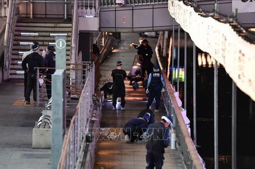 Vụ người Việt bị sát hại ở Osaka: Cảnh sát Nhật Bản đã bàn giao thi thể nạn nhân